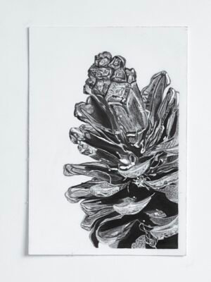 Forest Relic III - Pinecone