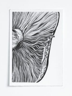 Forest Relic II - Mushroom